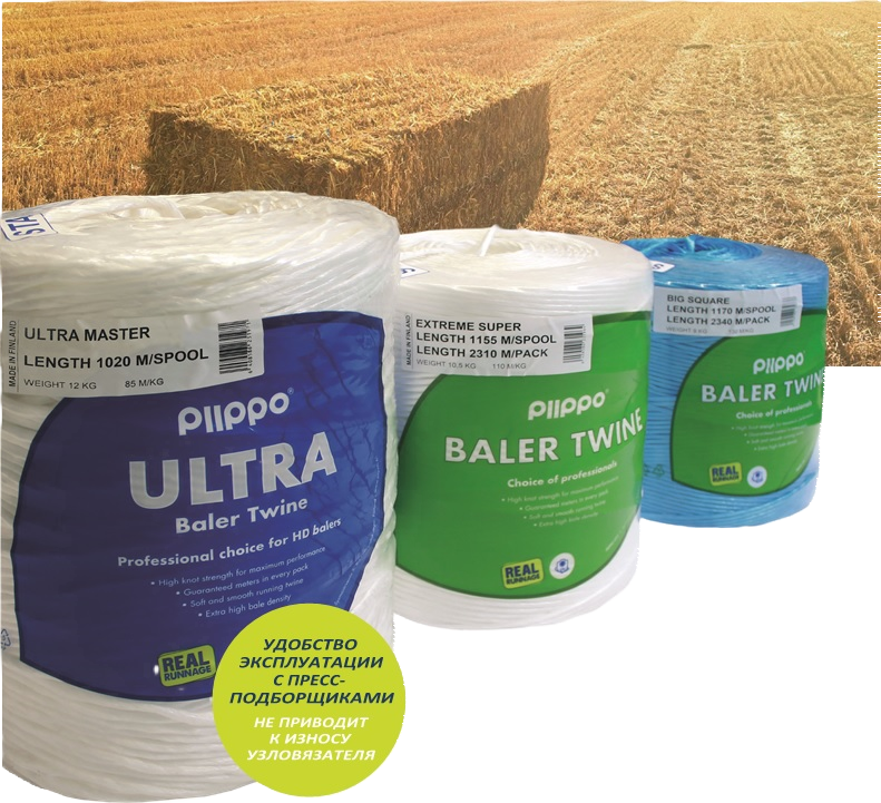 piippo big square.png